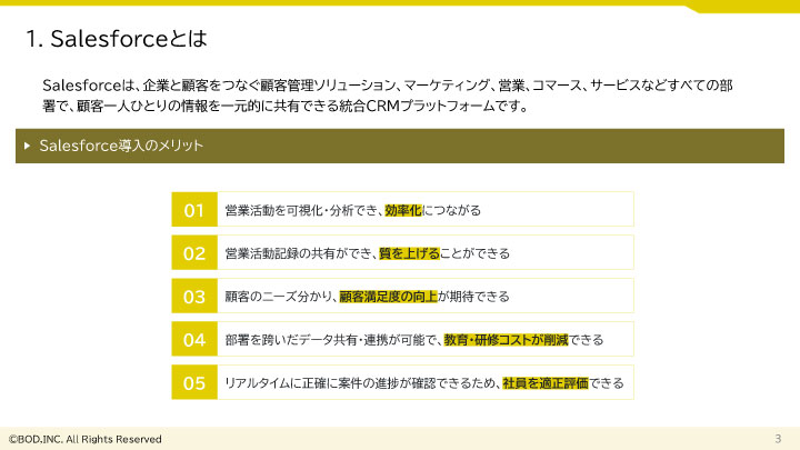 salesforce導入支援・運用保守サービス_03